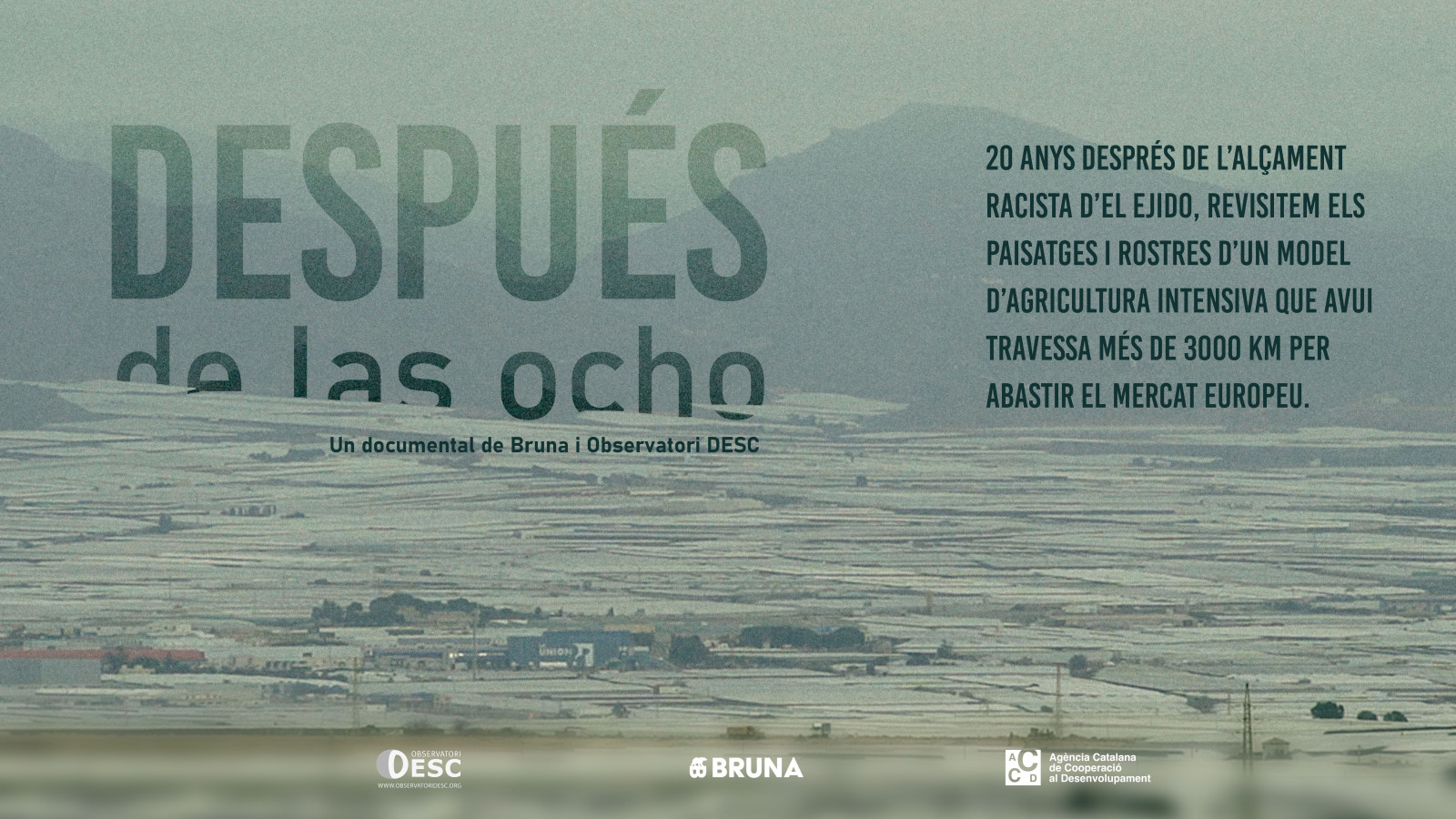 despues-de-las-ocho-docu-cartell despues-de-las-ocho-docu-cartell
